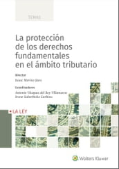 La protección de los derechos fundamentales en el ámbito tributario