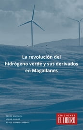 La revolución del hidrógeno verde y sus derivados en Magallanes