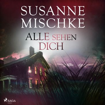 Alle sehen dich (Hannover-Krimis, Band 12) - Susanne Mischke