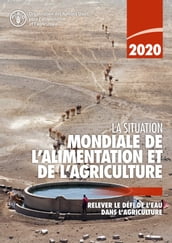 La situation mondiale de l