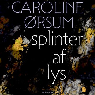 splinter af lys - Caroline Ørsum