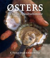 Østers