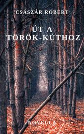 Út a Török-kúthoz