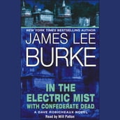 In the Electric Mist With Confederate Dead