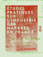 Études pratiques sur l industrie des marbres en France