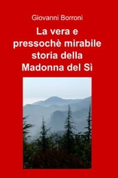 La vera e pressochè mirabile storia della Madonna del Sì