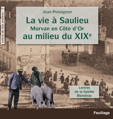 La vie à Saulieu en Morvan (Côte-d'Or) au milieu du XIXe siècle - Jean Ponsignon
