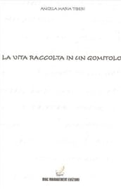 La vita raccolta in un gomitolo